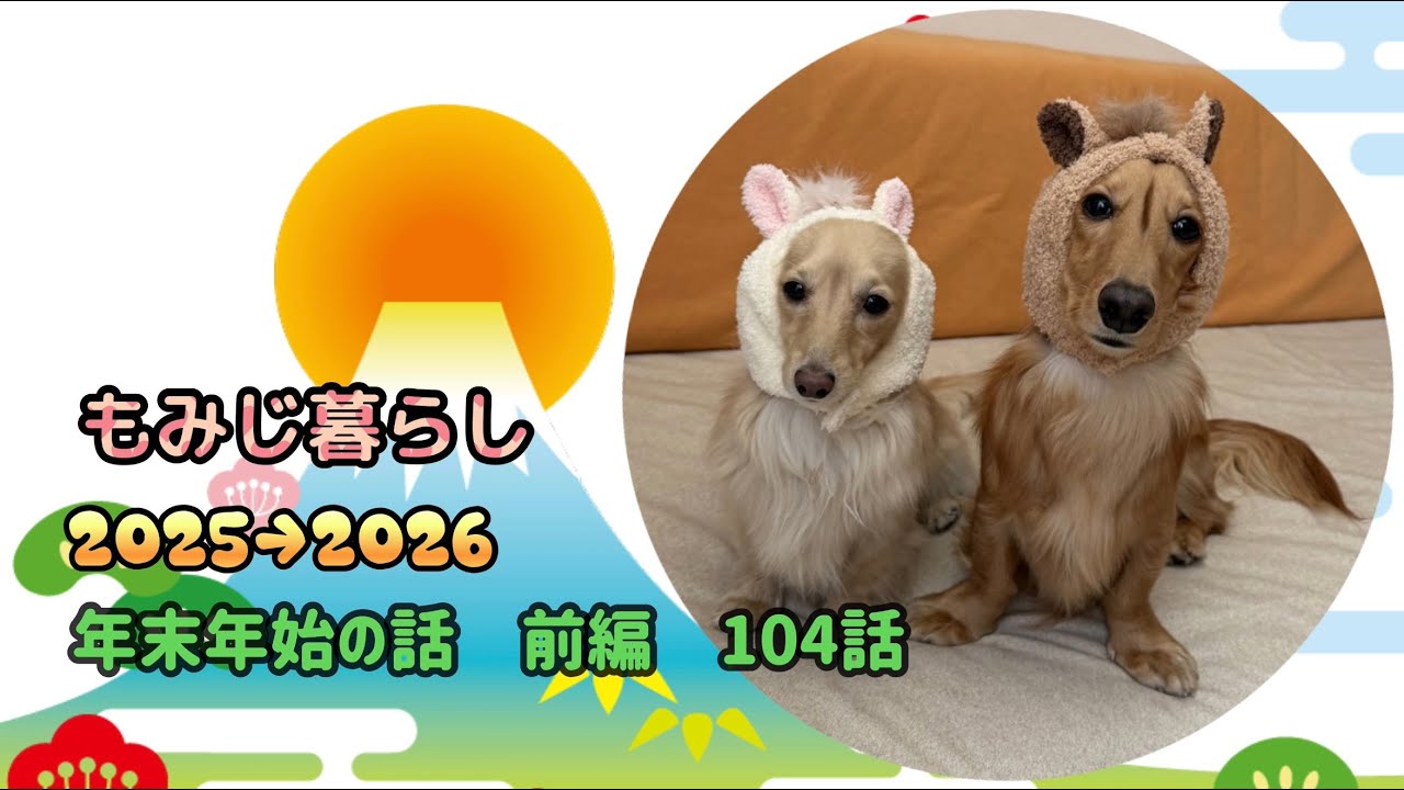 もみじ暮らし  2025→2026  年末年始の話  前編  104話
