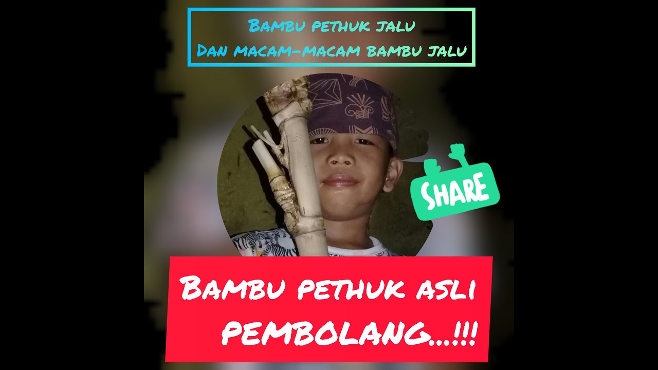 bambu petuk asli ,Bambu Pethuk Jalu dan macam-macam bambu jalu
