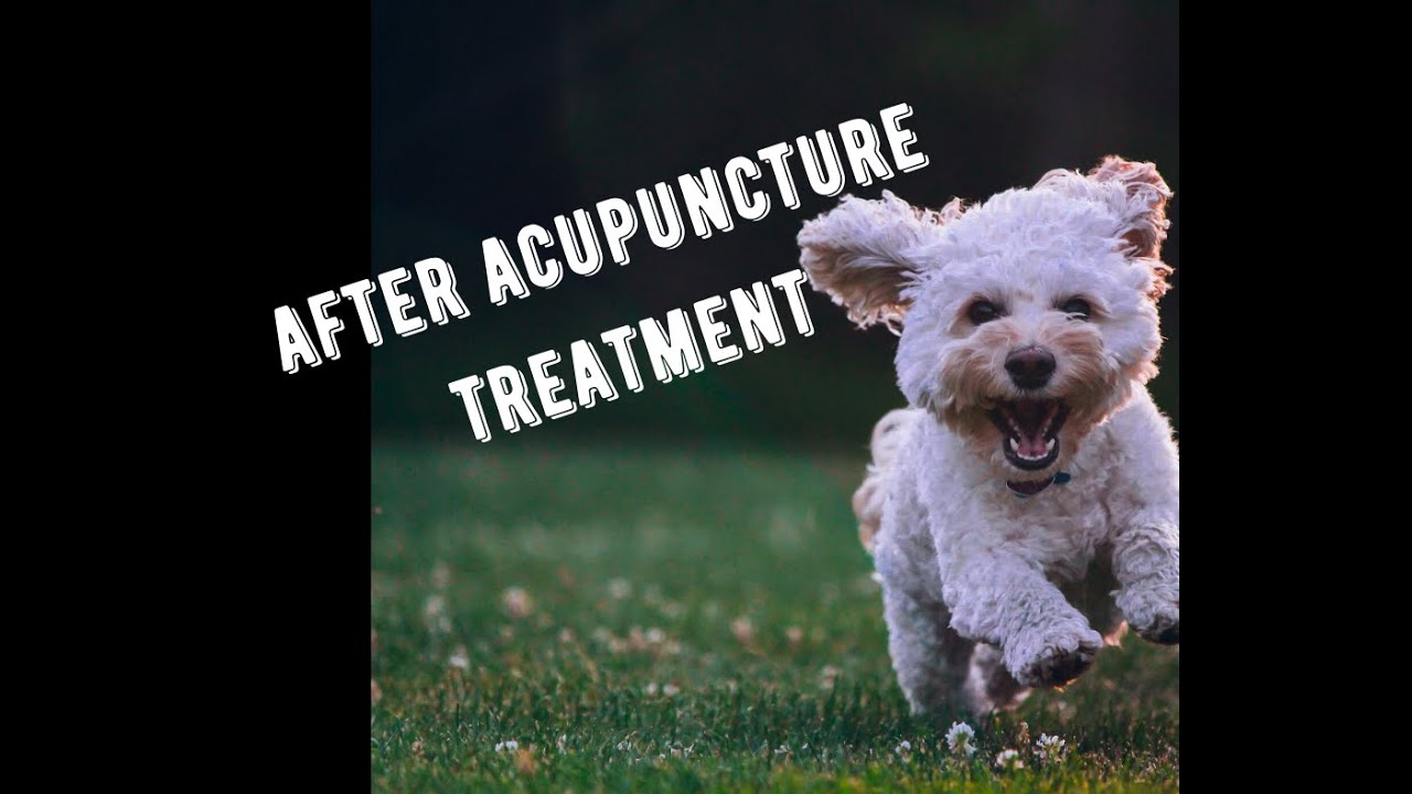 Before and after acupuncture