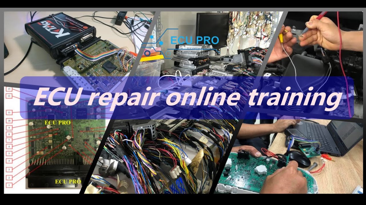 Introduction to ECU repair online training at ECU PRO