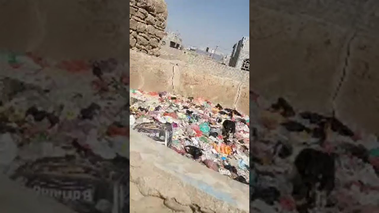 حصلنا كلب مصاب بسعار