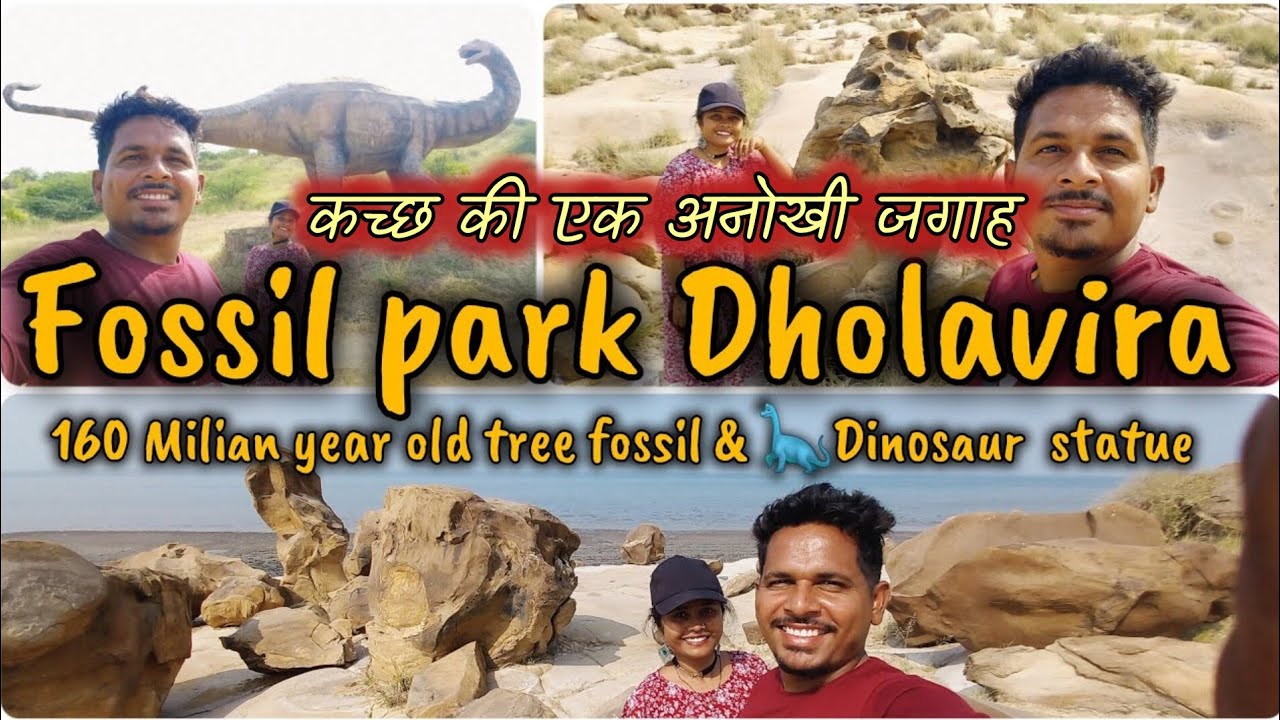 🦕160 करोड़ साल पुराने🦖🐲 पेड़ का फॉसिल || Wood Fossil Park Dholavira  ||  Kutch-Bhuj Vlog