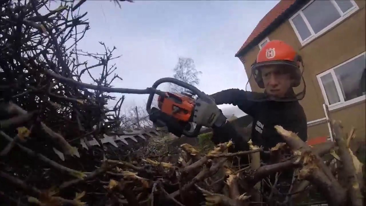 Reducing Top and Sides of a Hawthorn Hedge in Sheffield