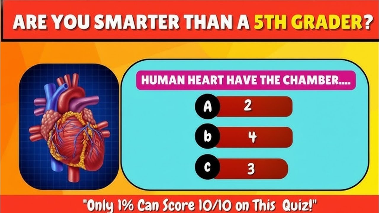 🧠 ARE YOU SMARTER THAN A 5TH GRADER? 🤯 | THINK AND LEARN