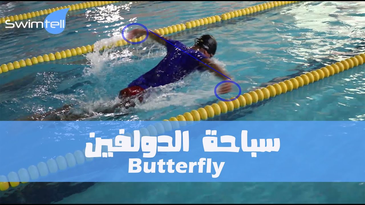 تعليم السباحه | سباحة الدولفين