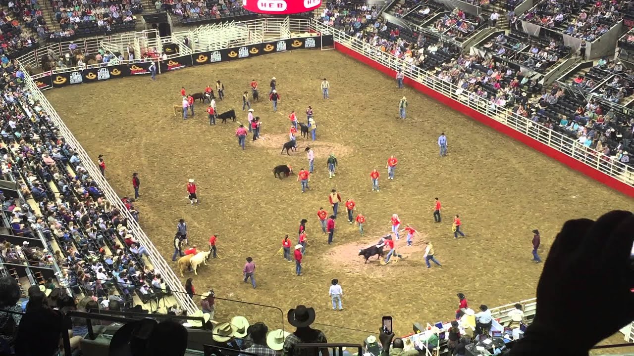 2015 San Antonio Rodeo Calf Scramble - Kyle Huppee