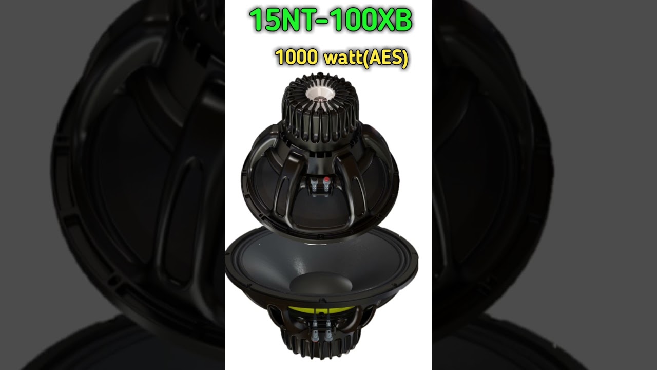 P audio new model speaker launch 2022 |15 inch speaker |12 inch speaker