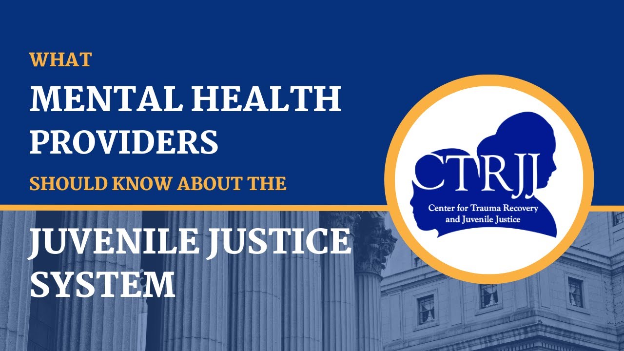 Resource Guide for Mental Health Professionals on the Juvenile Justice System