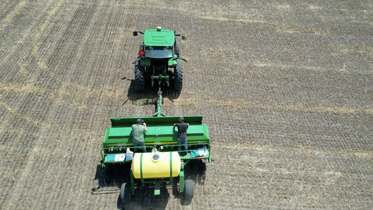 Forage Plot Seeding | Renovo Seed + Precision Planting