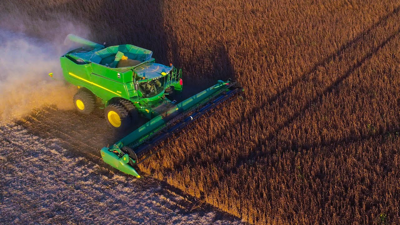 Cosecha de Soja / Soybean Harvest - Argentina 2020