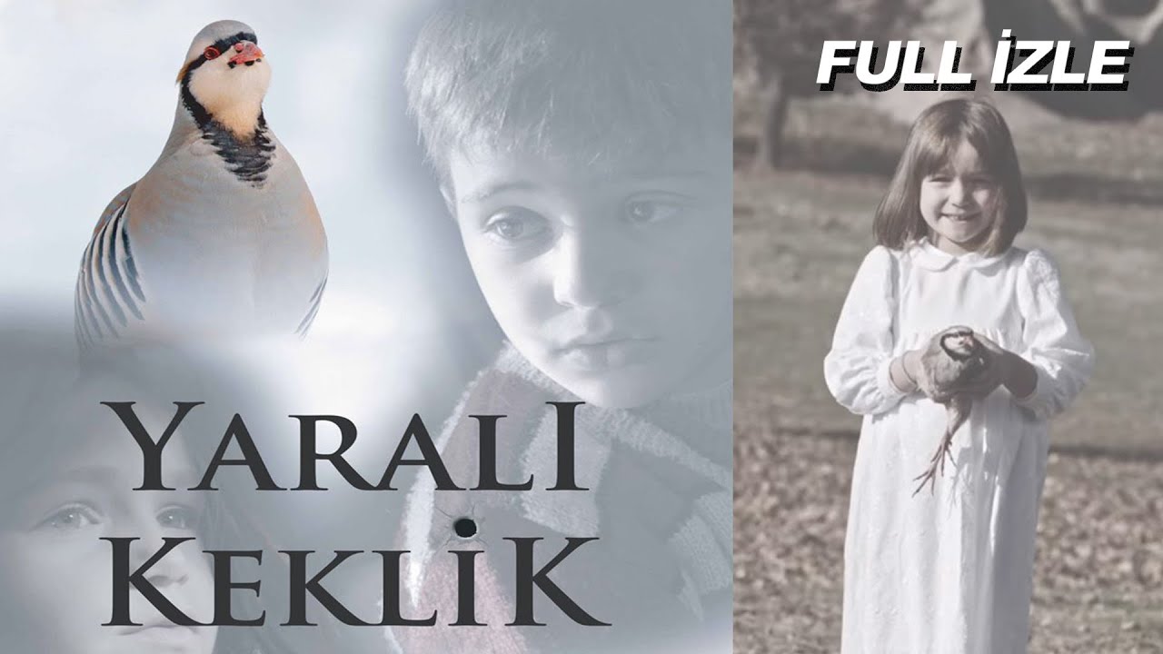 Yaralı Keklik | 2017 - Alper Pehlivan, İbrahim Kalkan, Dilek Canbay