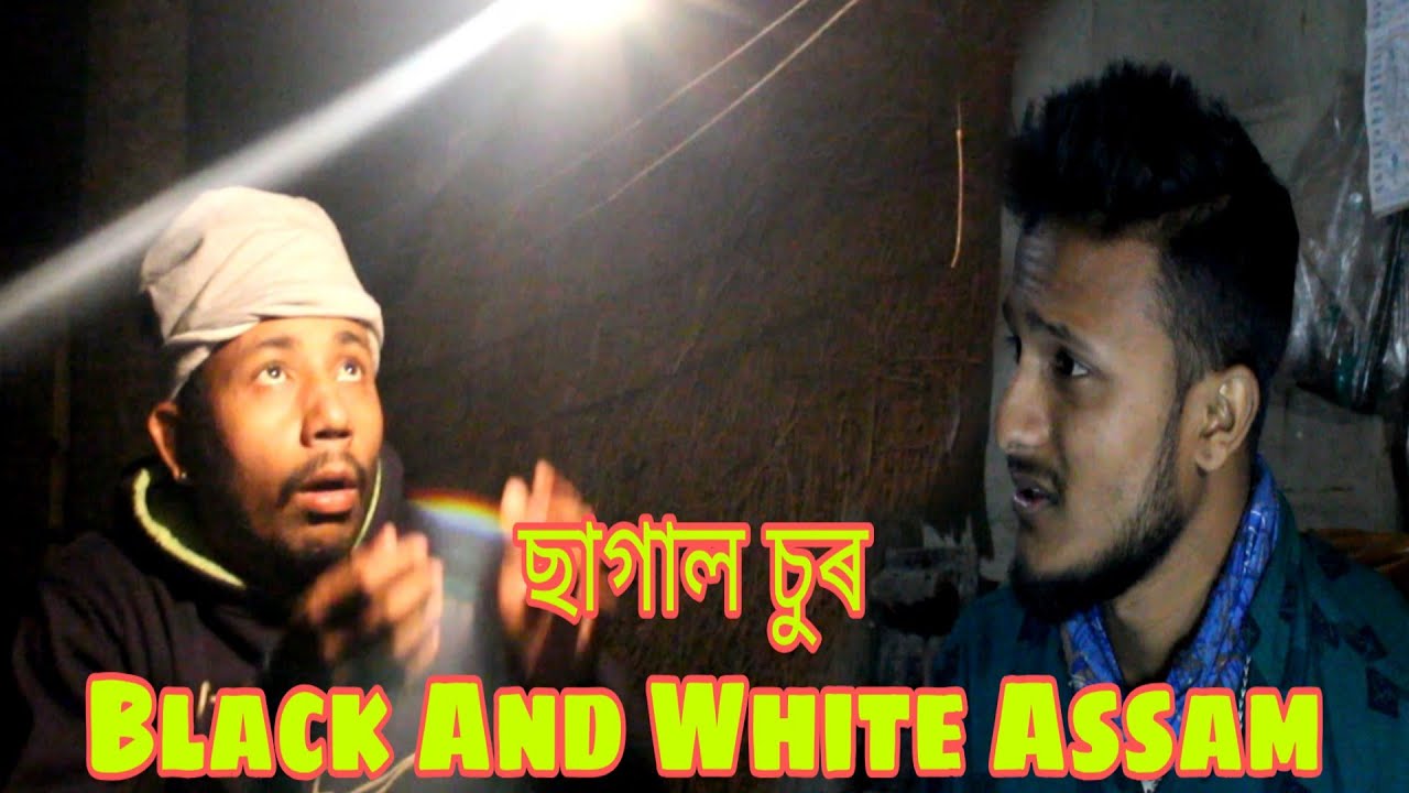 #Bhogali Bihu ছাগাল চুৰ | Black And White Assam |