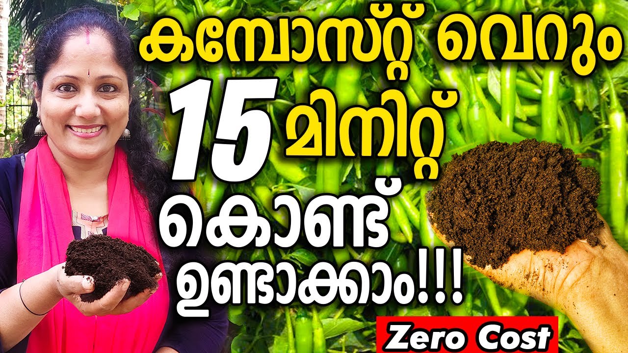 കമ്പോസ്റ്റ് വെറും 15 മിനിറ്റ് കൊണ്ട് ഉണ്ടാക്കാം! |How to make EASY COMPOST in 15 MINUTES! ZERO COST
