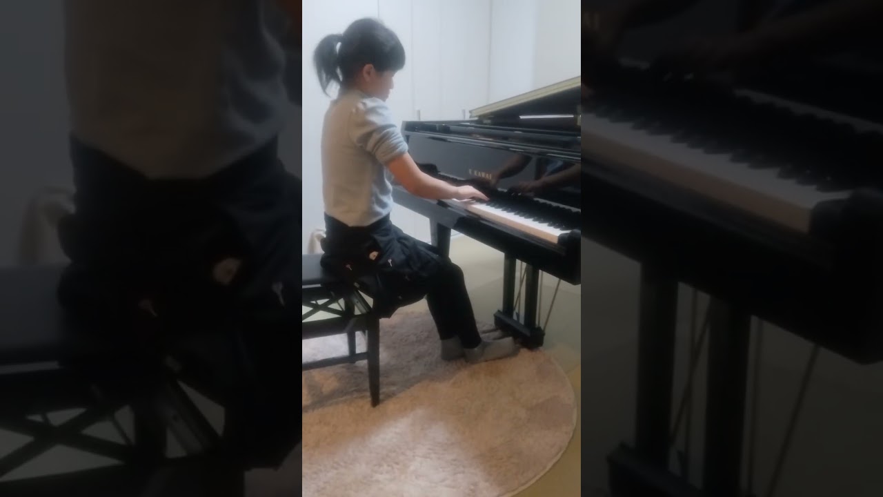 ショパン : 幻想即興曲 (遺作) 嬰ハ短調 Op.66Chopin, Frederic : [Fantaisie-] Impromptu (posthume) cis-moll Op.66