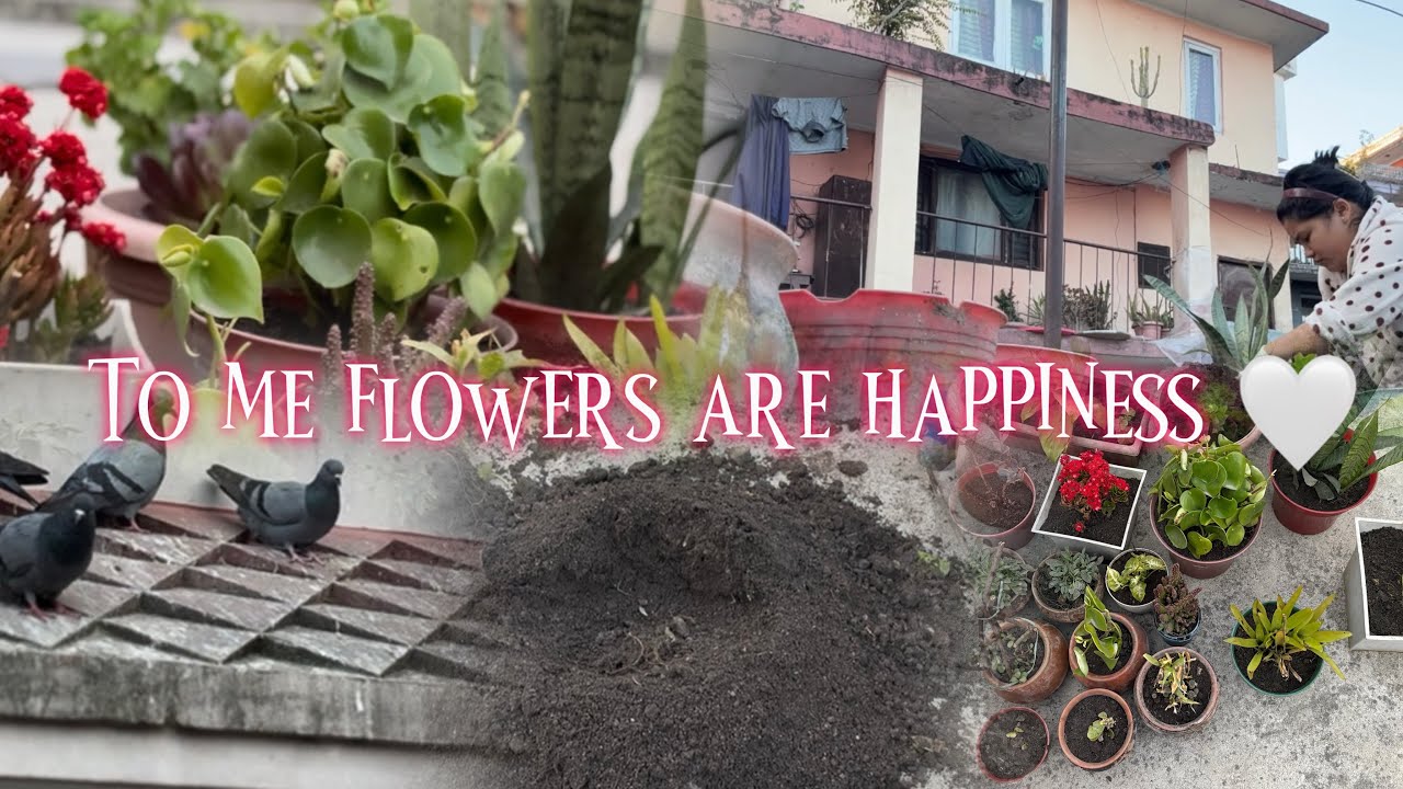 🌱🌿🪴🍃🎍🍀🌺🌸❤️