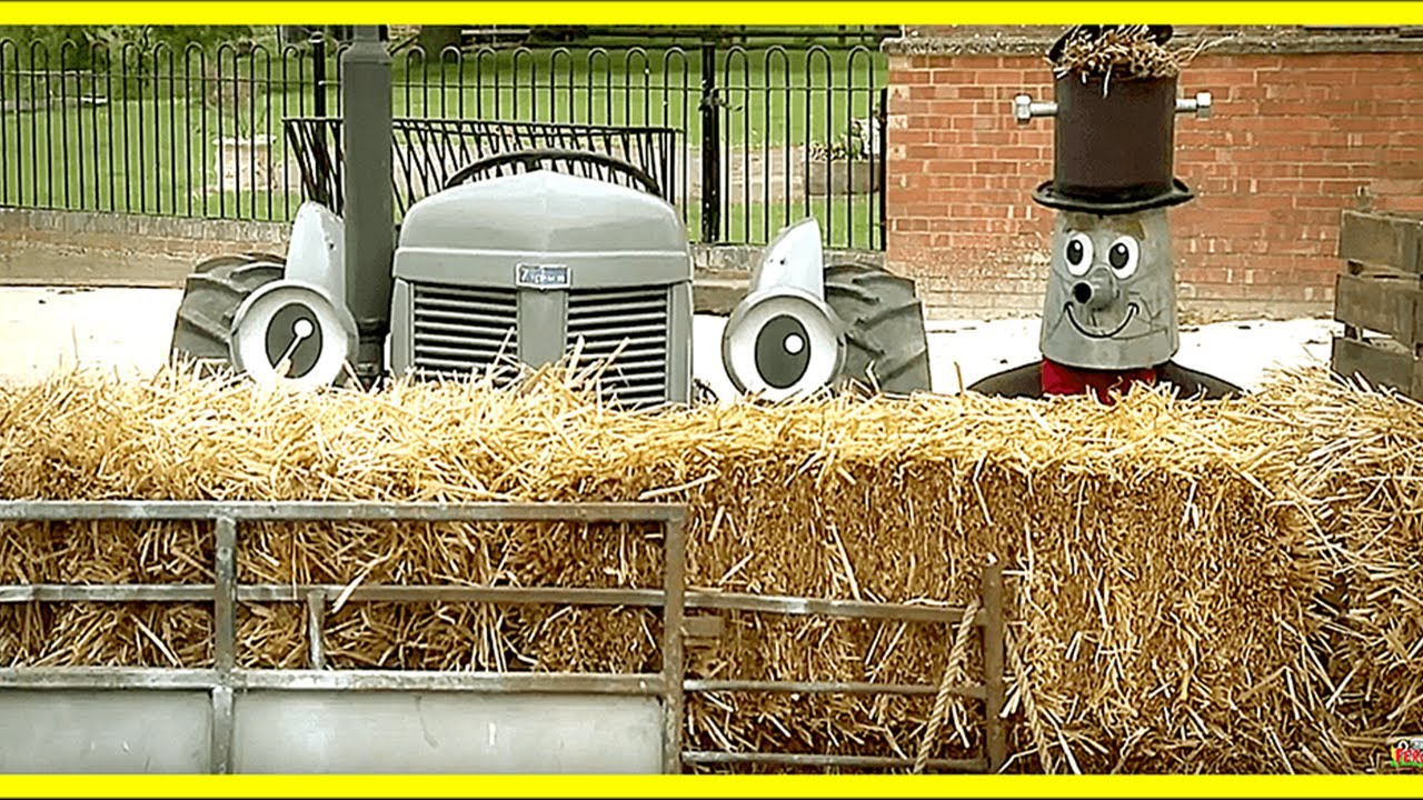 Fergie & Clunky's Best Moments! | Little Grey Fergie