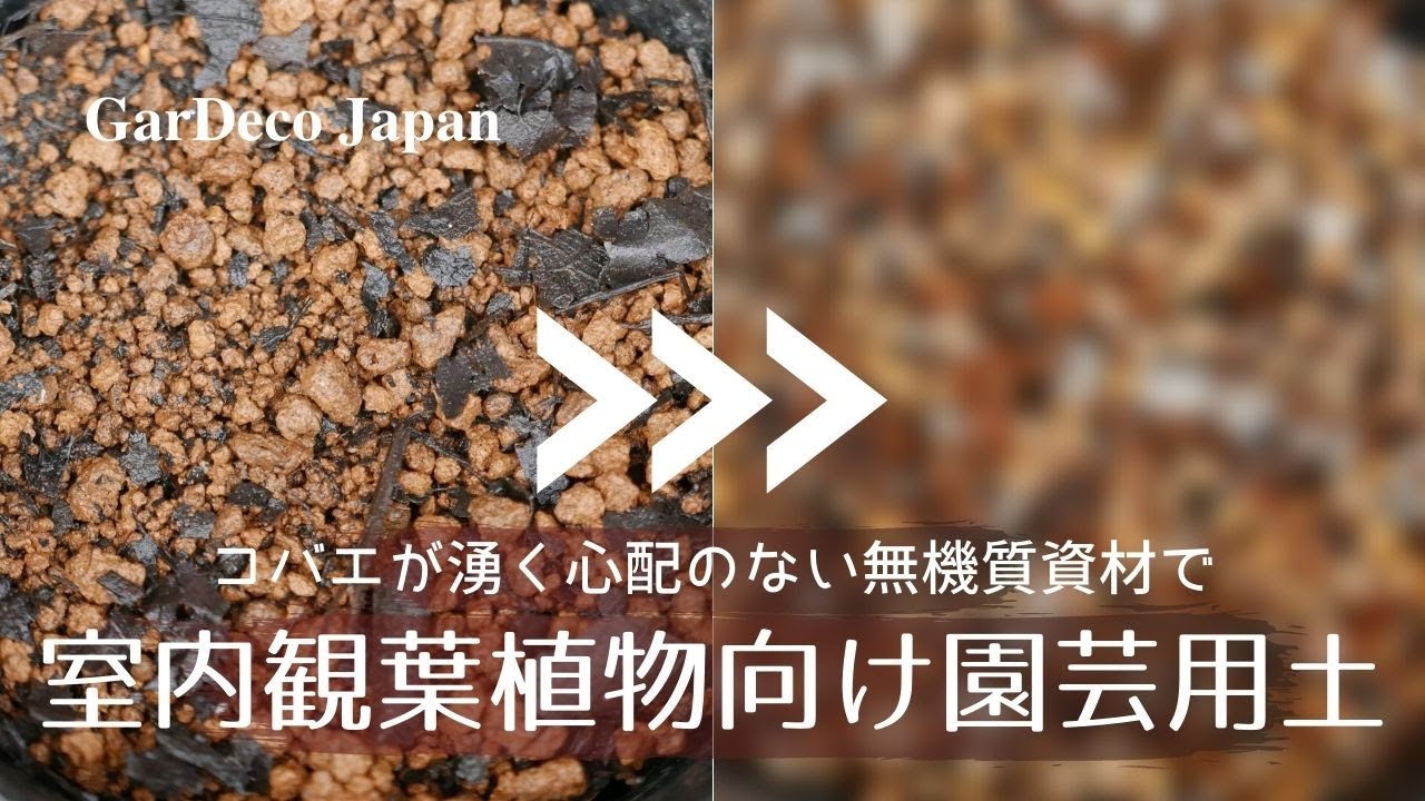 【コバエにお悩みの方必見！】室内の観葉植物向け園芸用土の作り方