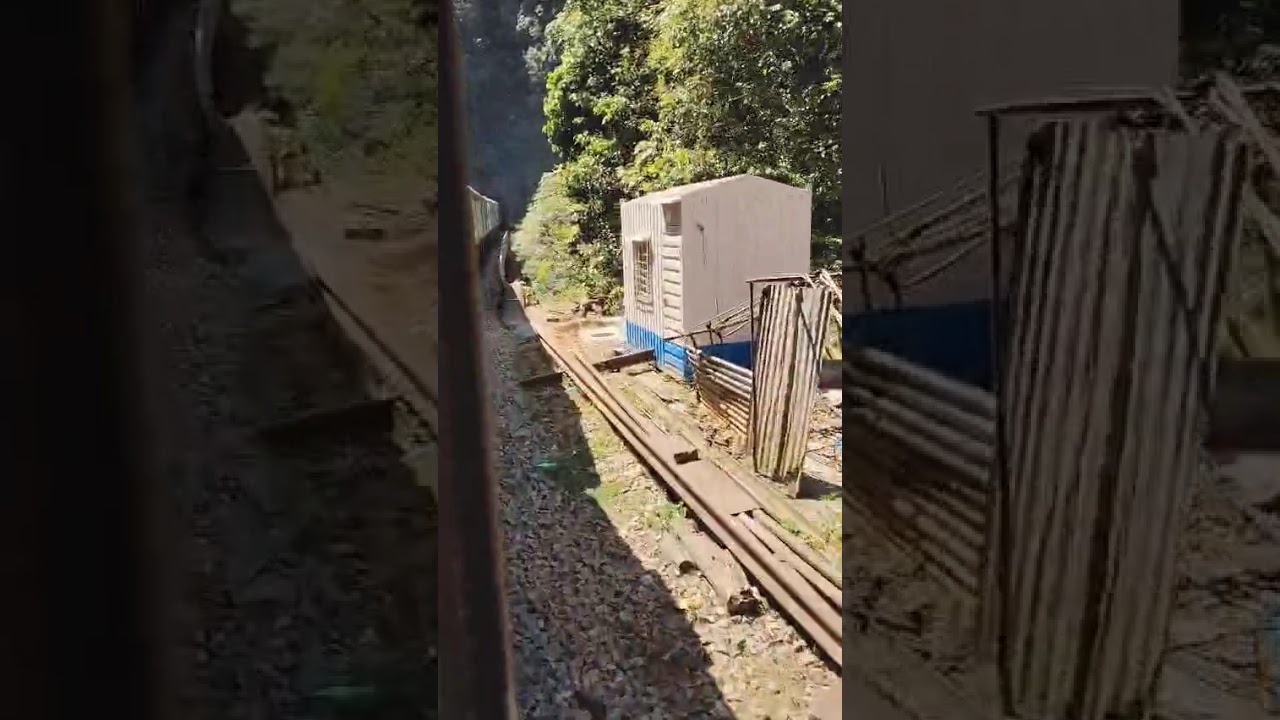 Solo journey peace