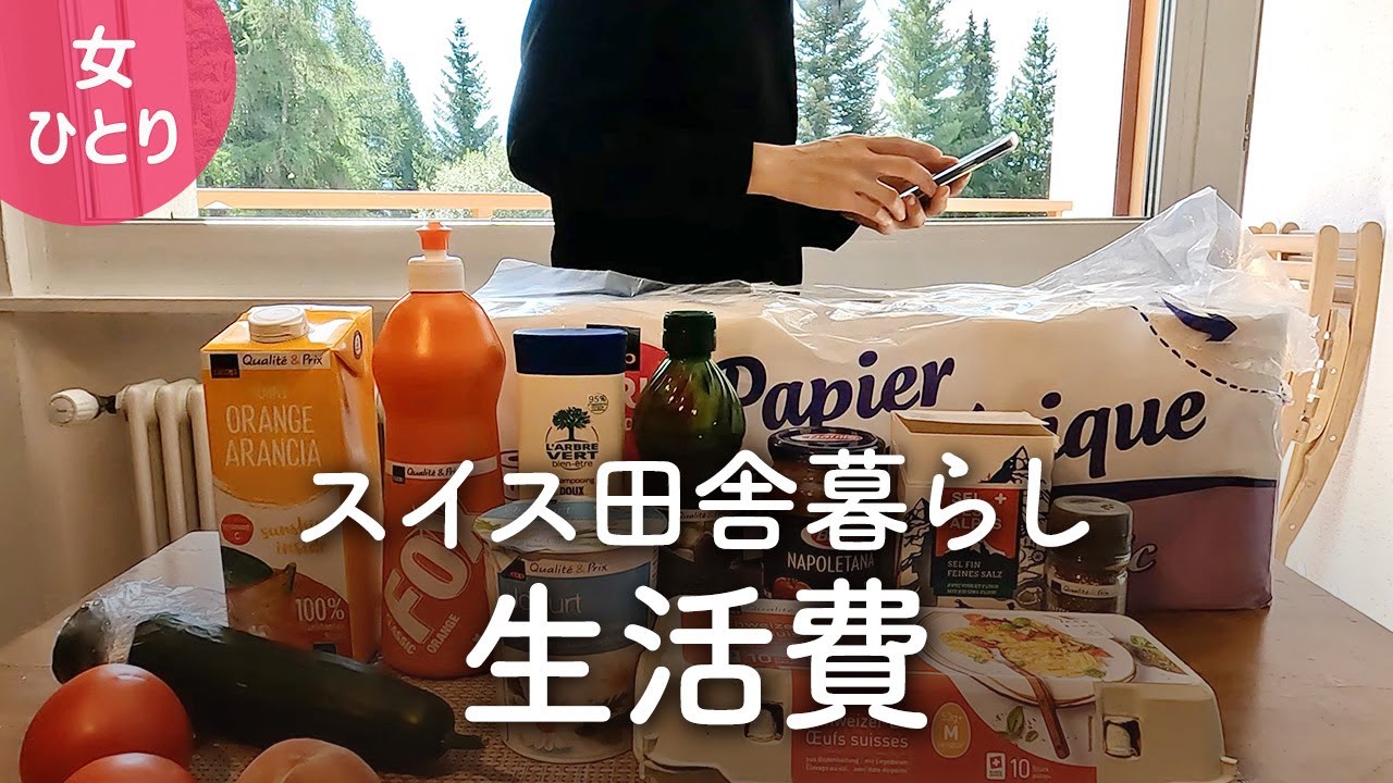 【スイスの生活費】田舎にひとり暮らし・1ヶ月間の費用を公開【海外生活】
