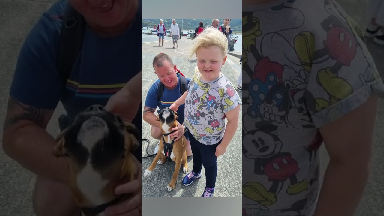 hendre mynach / barmouth weekend break july 2022 with gracie