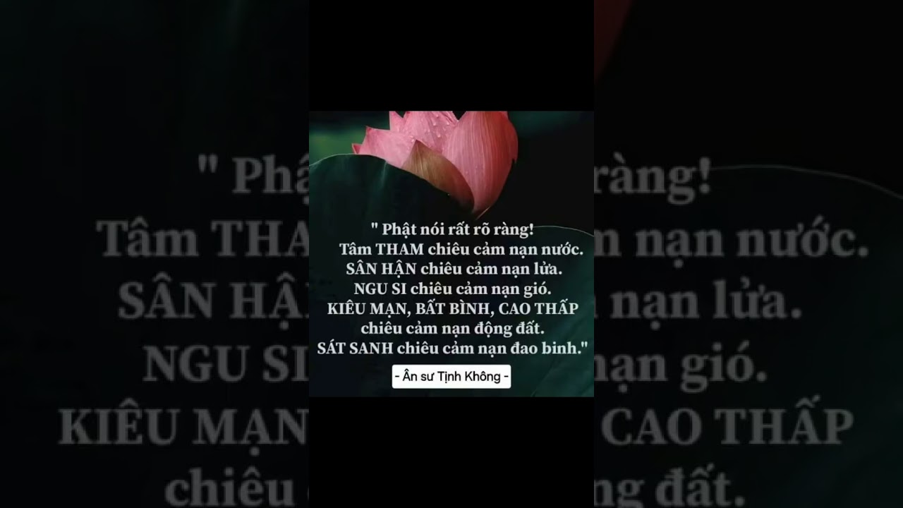 Xin thường nhớ Phật niệm Phật cầu sanh cực lạc 🙏 #buddhaamitavn