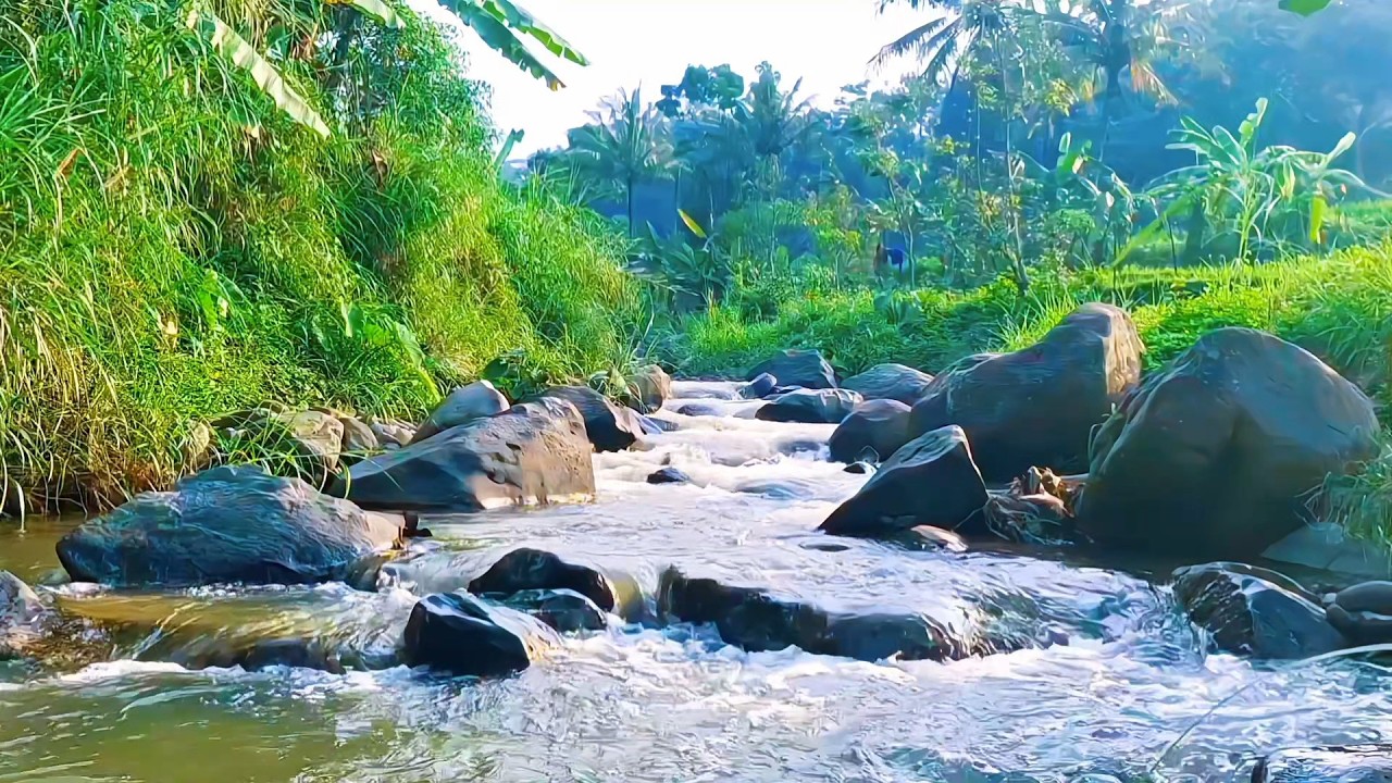Soft River Ambience for Stress Recovery