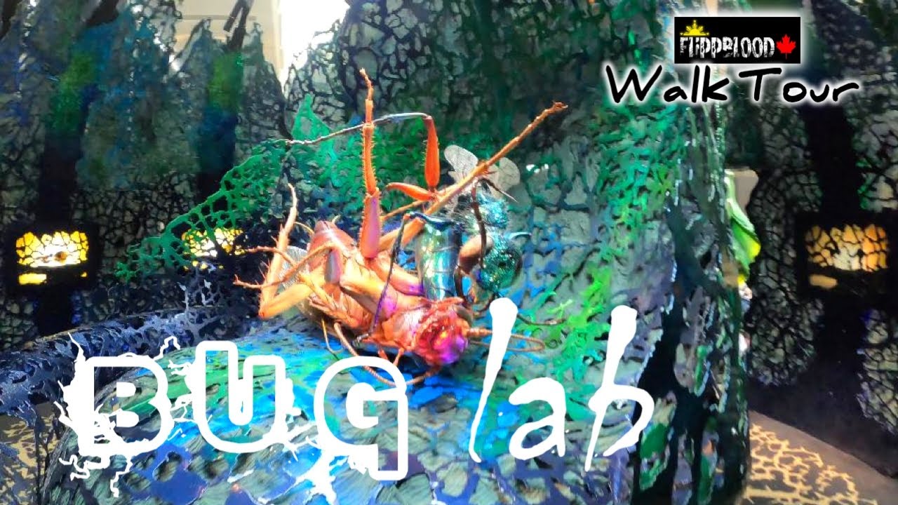 Inside the BUG LAB Exhibition  |  Ontario Science Centre Toronto  |  4K Virtual Walk Tour   |  2022