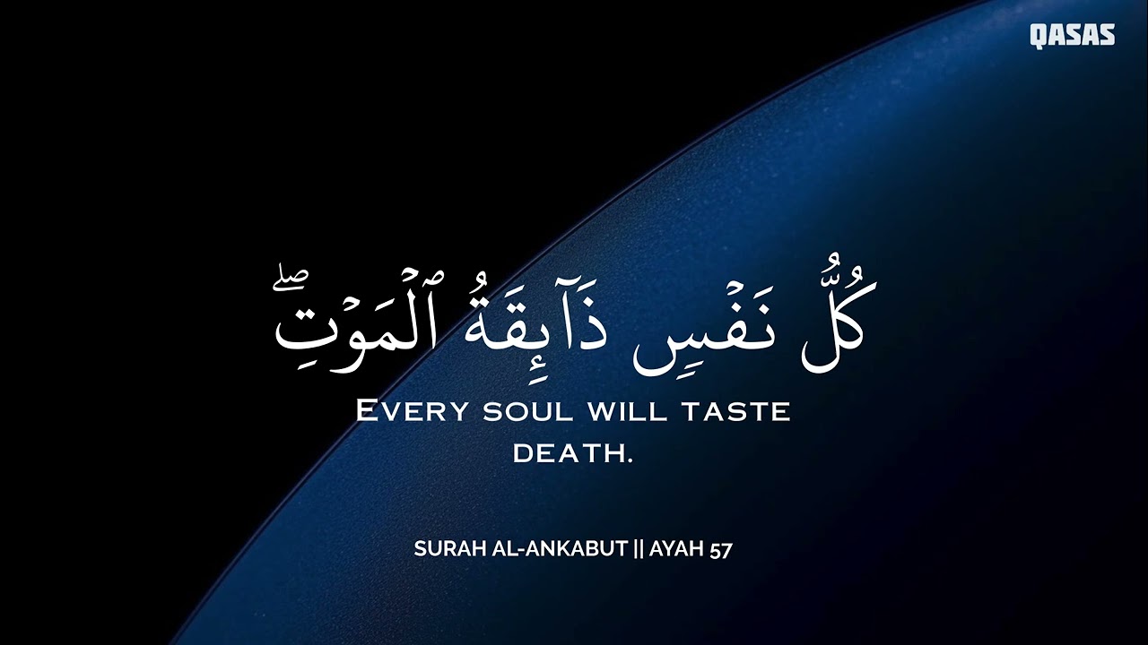 أرح سمعك.. تلاوة هادئة تريح القلب والعقل🩵😴 | ساعة كاملة🕛🎧 القارئ محمد هشام | Mohamed Hesham