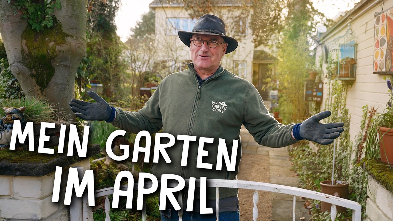 Meine Projekte im April 🌷 - So sieht mein Garten jetzt aus!