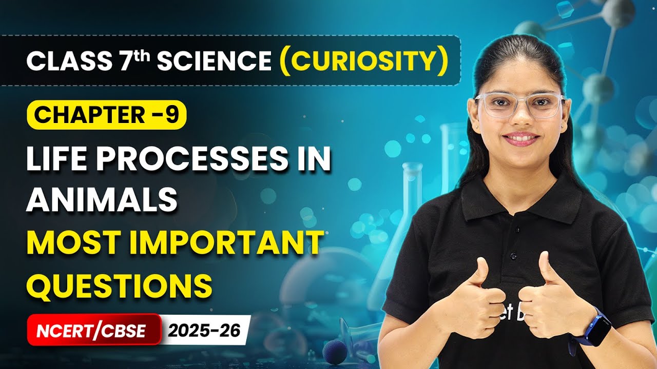 Life Processes in Animals - Most Important Questions | Ch 9 | Class 7 Science Curiosity | CBSE 2025