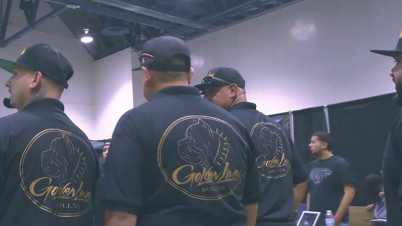 Goldenline Bullys
