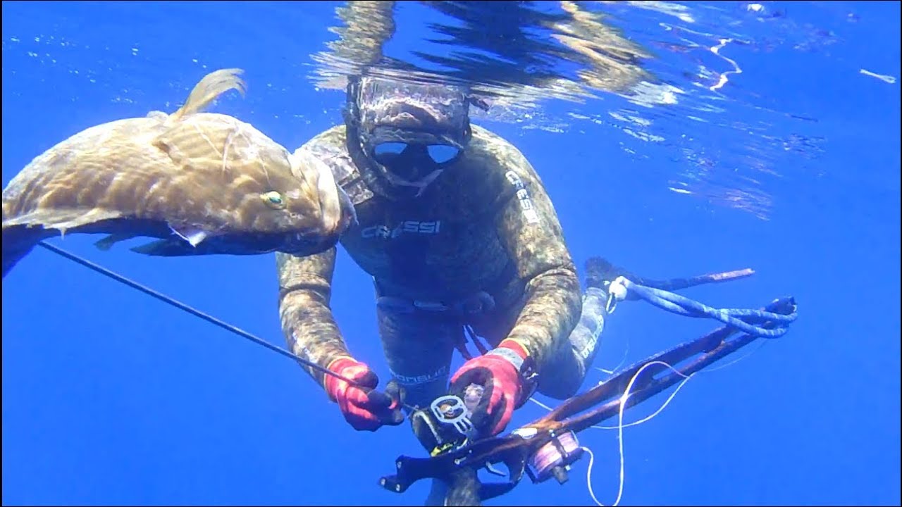 PESCA SUBACQUEA:PREDE-PREDATORI-TANE NELL'ESTATE JONICA 2017...by Alberto Galante