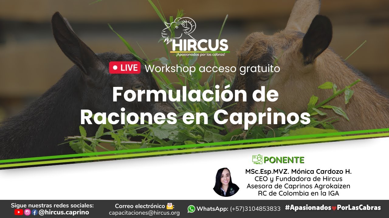 Workshop: Formulación de dietas para caprinos (Cuadrado de Pearson)