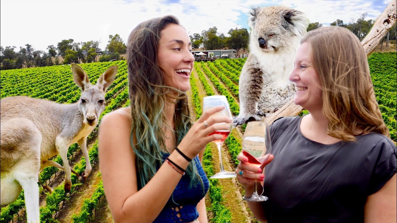 Wine Tasting with Kangaroos & Koalas!
