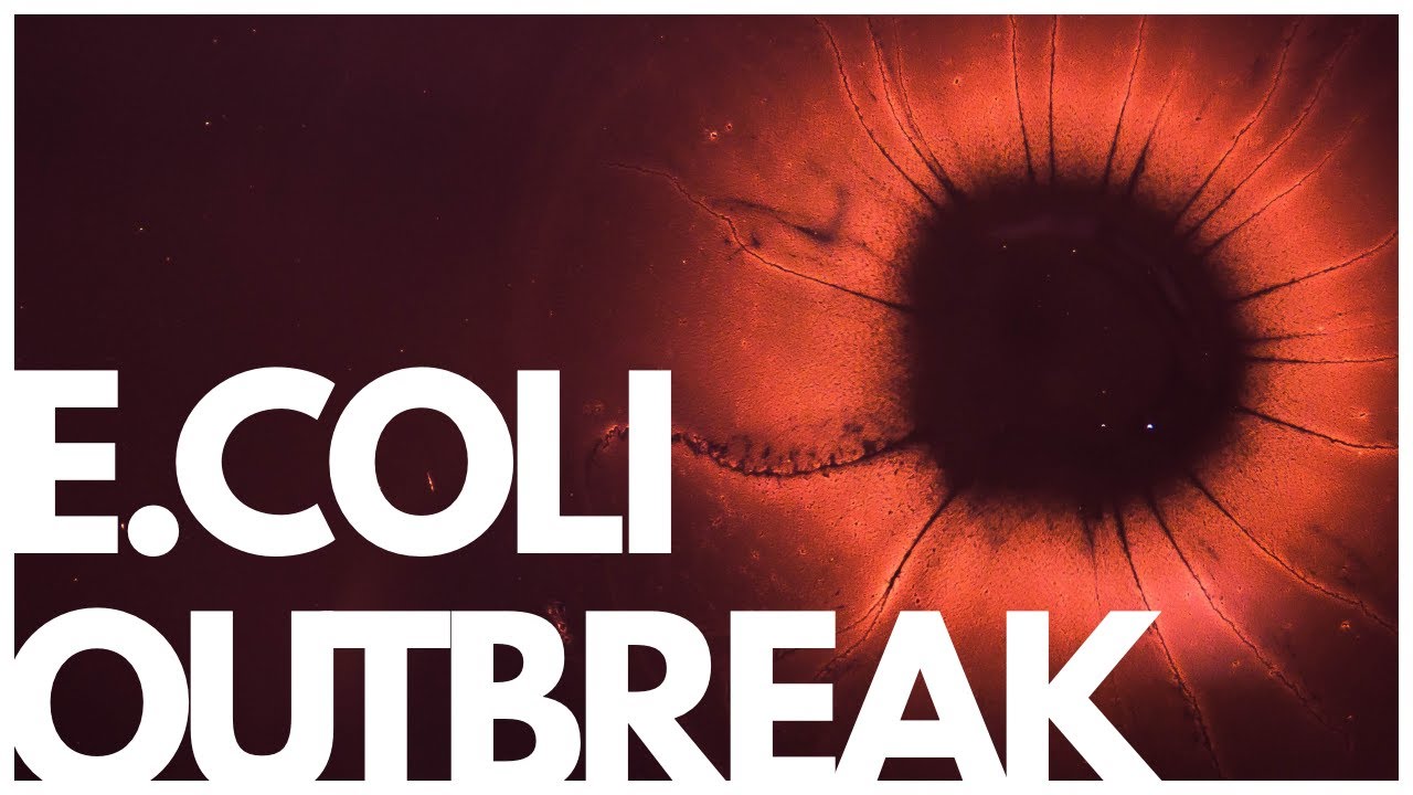 What Exactly IS E. Coli & Why is it Always On Romaine Lettuce? 🍃