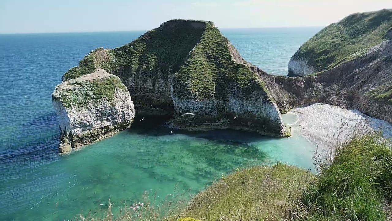 Flamborough Head and Bempton Cliffs and 2024
