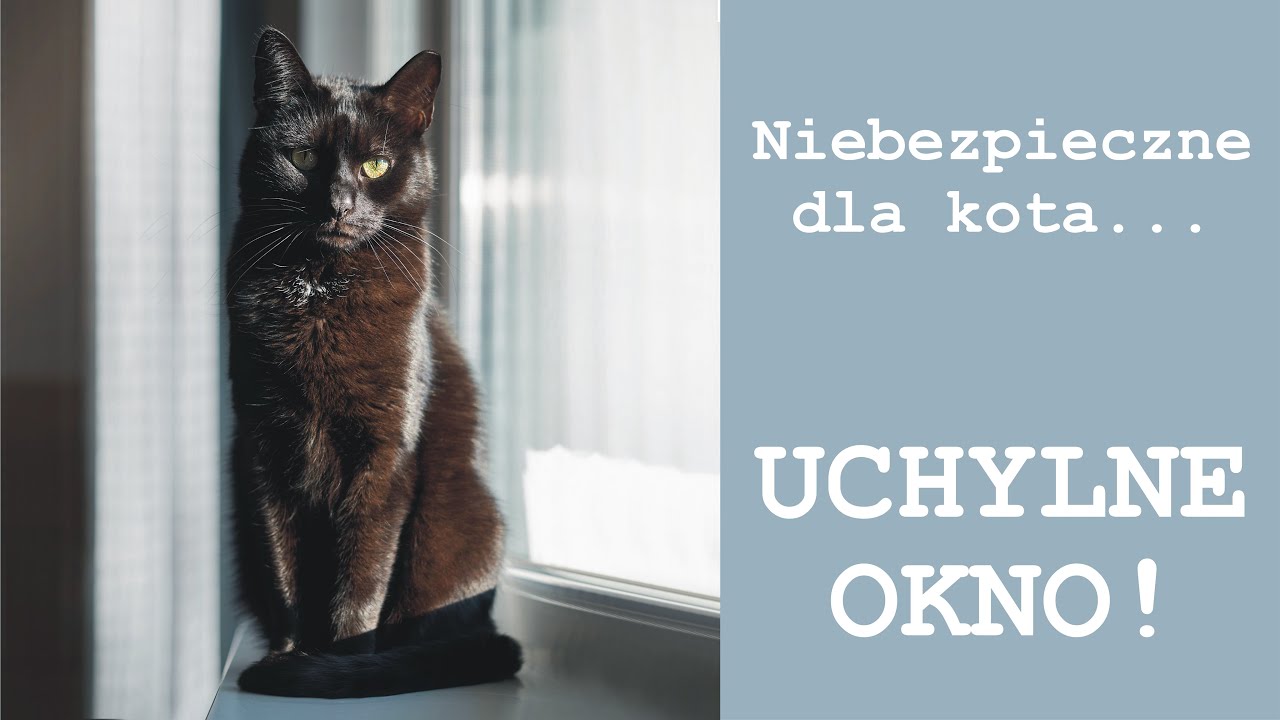 Niebezpieczne dla kota - UCHYLNE OKNO!