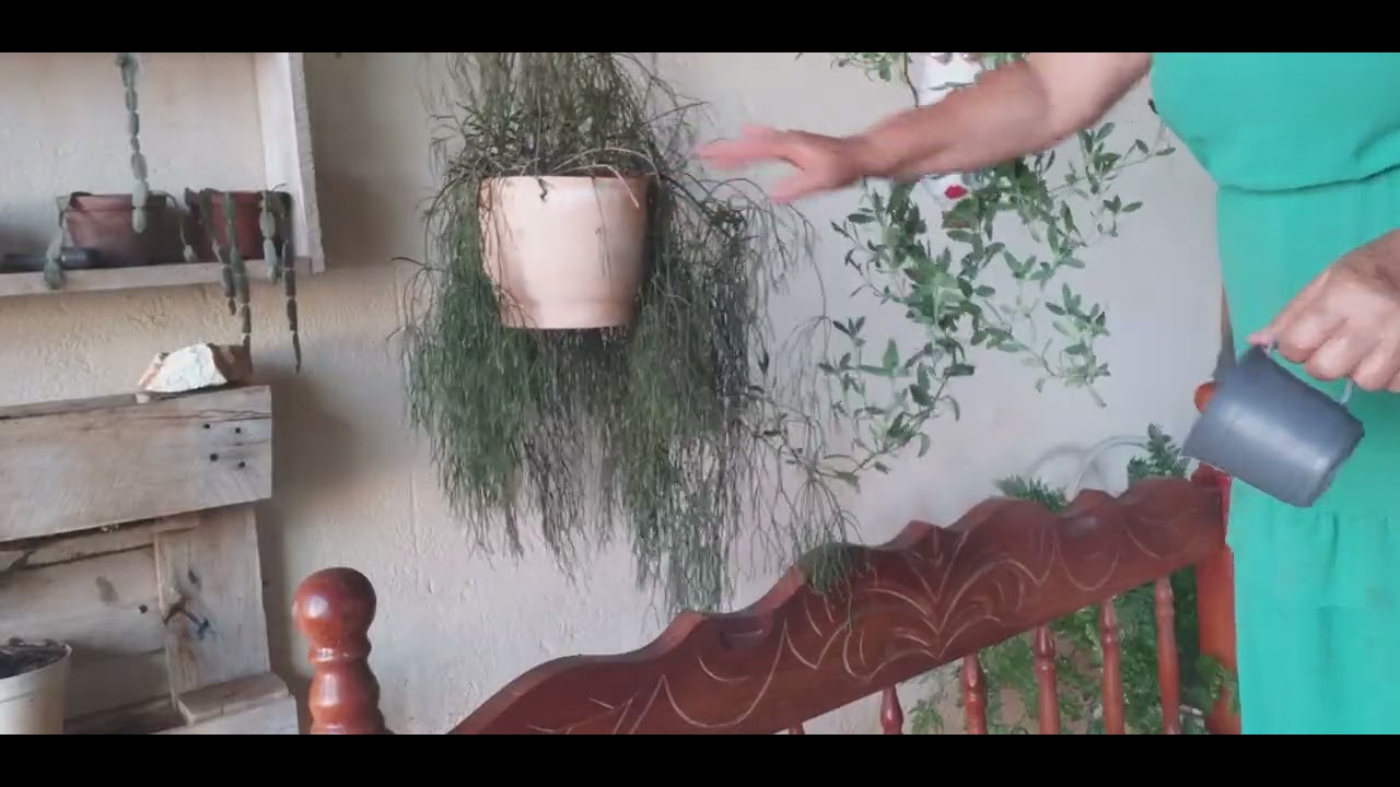 Segunda parte 