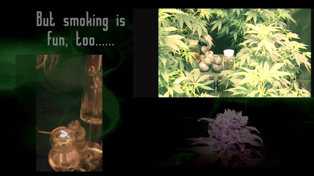 Cannabis World Summit, BadKittySmiles - WIN SIGNED Hemp Wick!! 