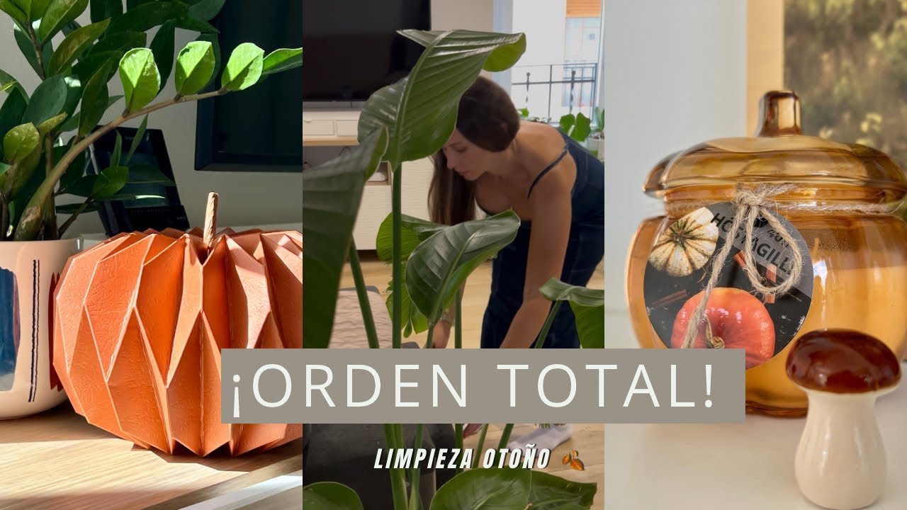 Reset de otoño 🍁 | Limpieza profunda, favoritos de septiembre y maratón de organización en casa
