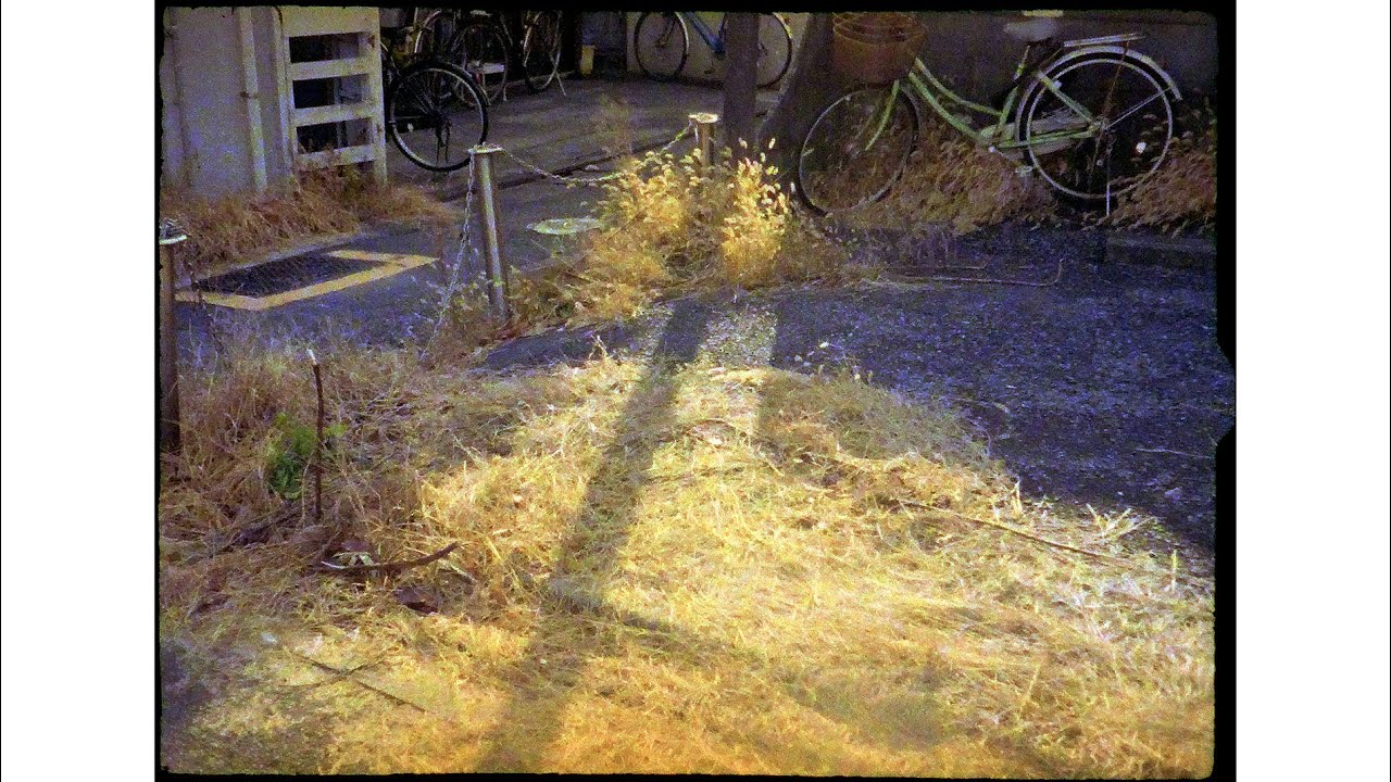 MINOX LX / Late autumn 2020
