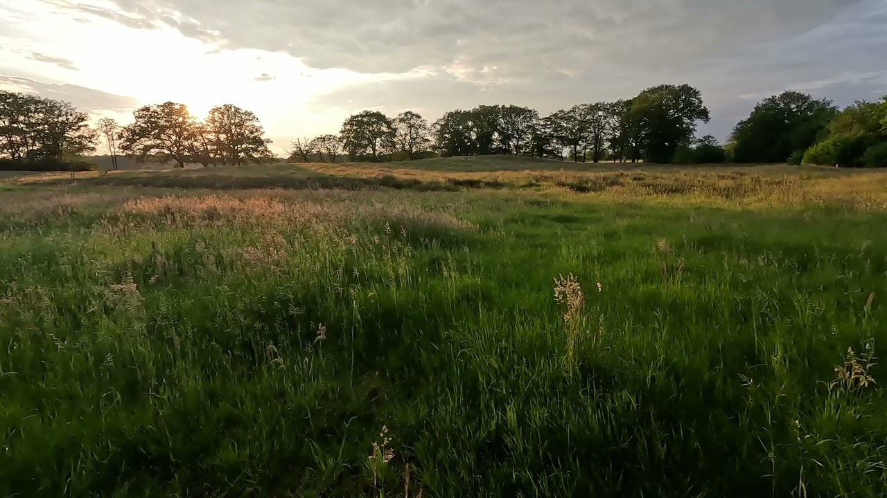 Ter Wupping in Groningen, 🎧 Binaural Recording (DPA 4560 on Dummy Head) of Nature Sounds