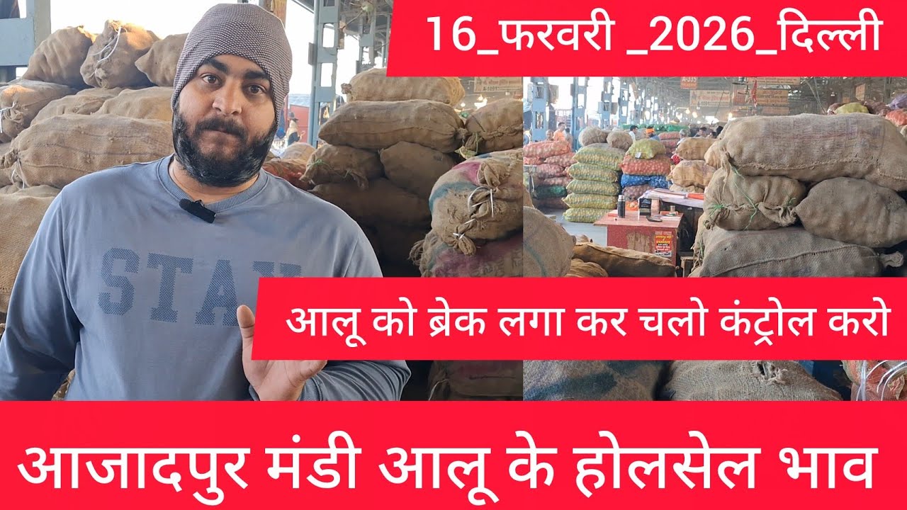 February 16, 2026 दिल्ली 🥔आलू के भाव Azadpur Delhi mandi today #PotatoMarket #delhipotatomarket 