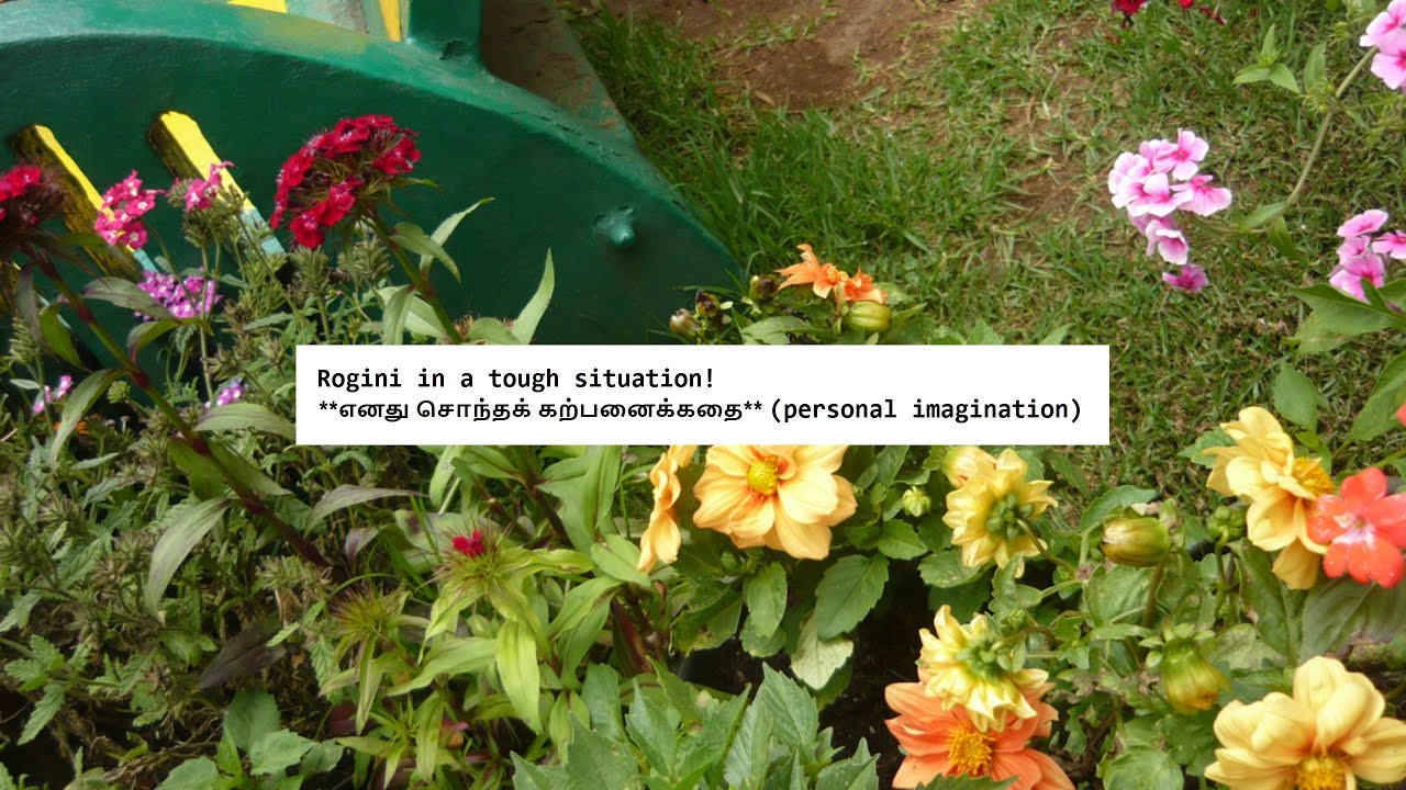 Rogini in a tough situation!     **எனது சொந்தக் கற்பனைக்கதை** (personal imagination)