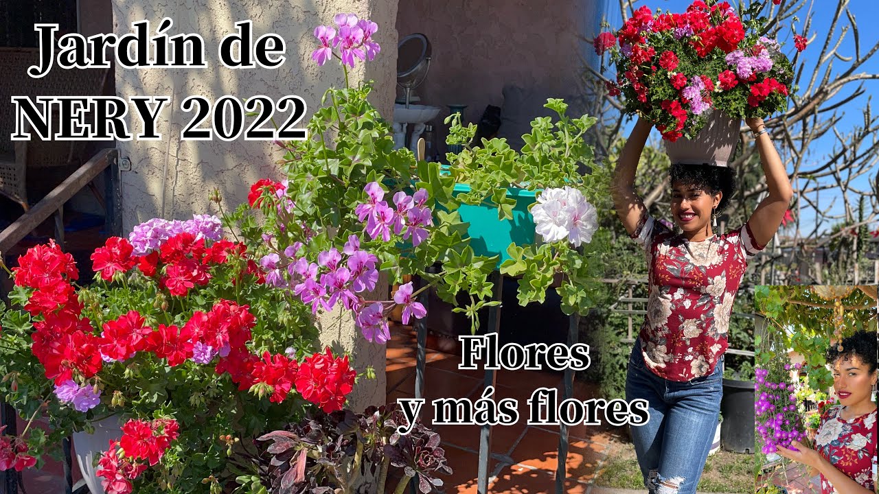 La primavera llegó al jardín de NERY tour completo 2022  🌸🌸🥰