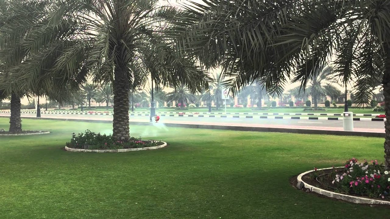 Tareq Alsaadi between palm trees gaui nitro طارق السعدي