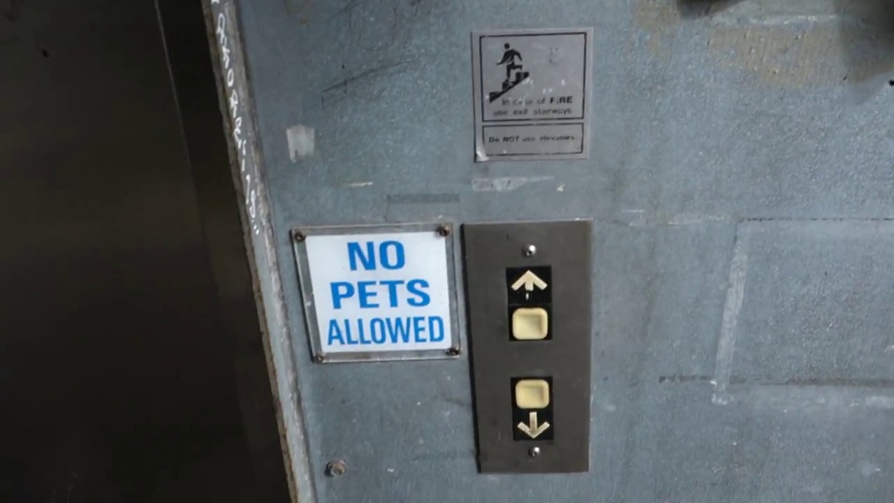 Abandoned Dover Impulse Hydraulic Elevator at An Abandoned Building in Vancouver, BC