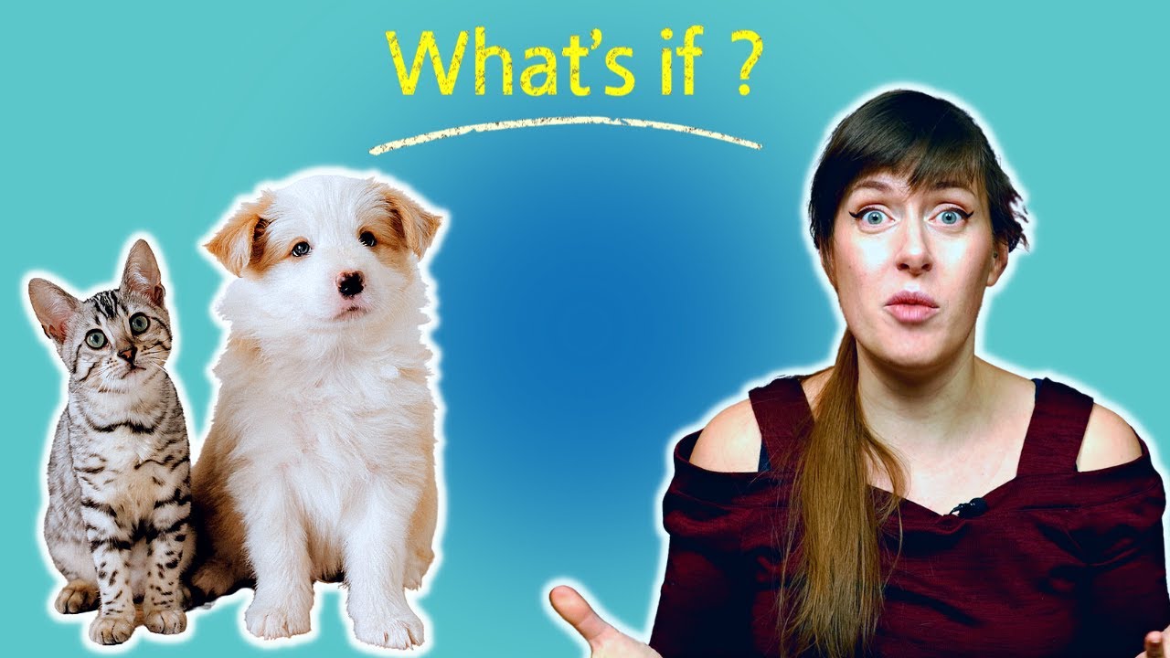 Fact or Fiction: A Cat is Like a Small Dog | VET ADVICE