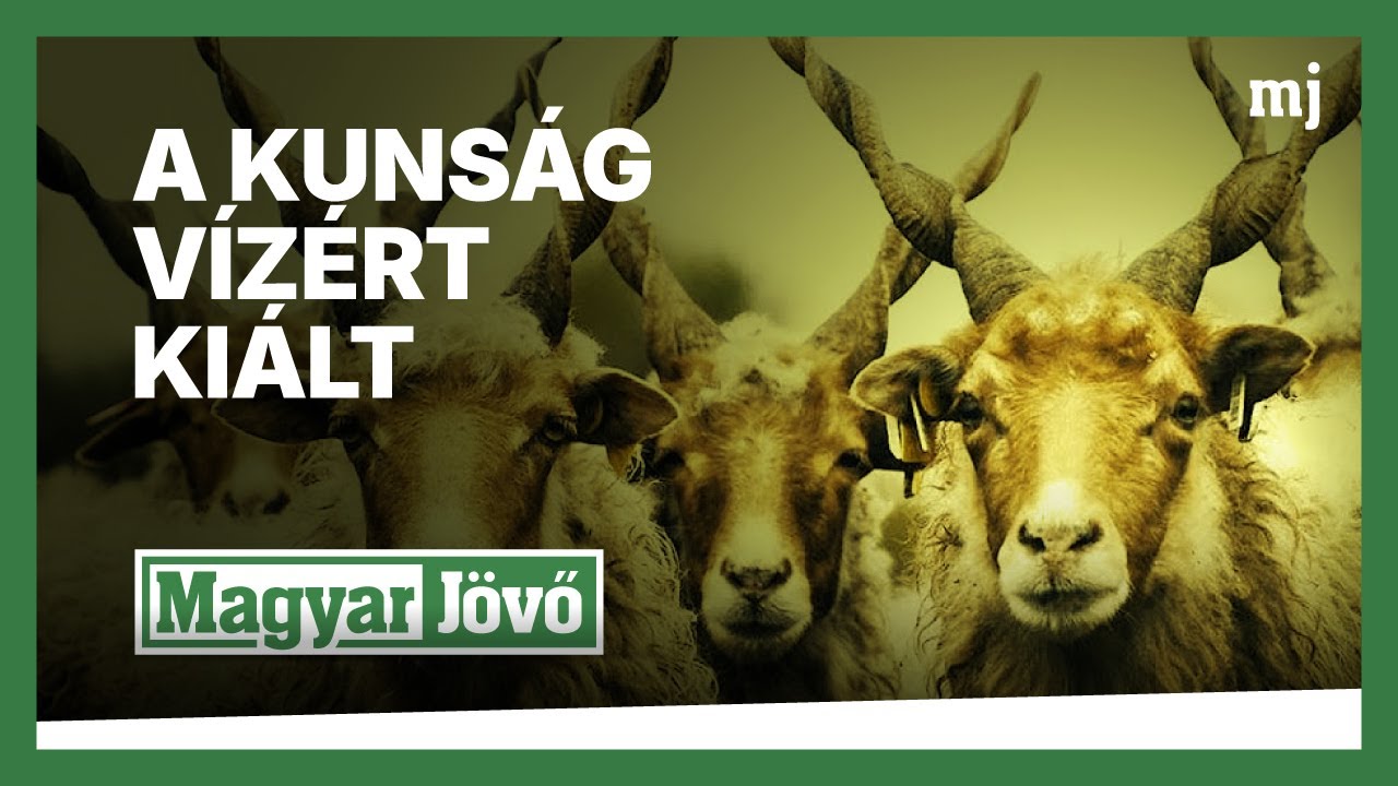 Magyar Jövő: fókuszban a vízhiány és a vízellátás