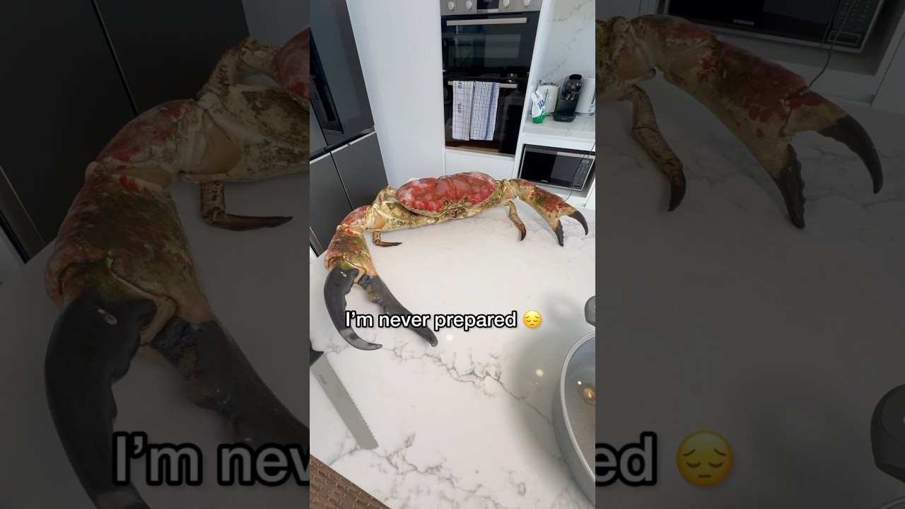 Приготовление самого большого краба в мире!